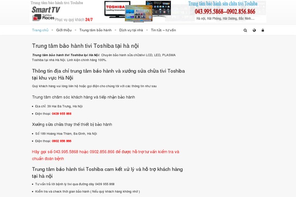 trungtambaohanhtivitoshiba.vn site used Ttbhtvtsb