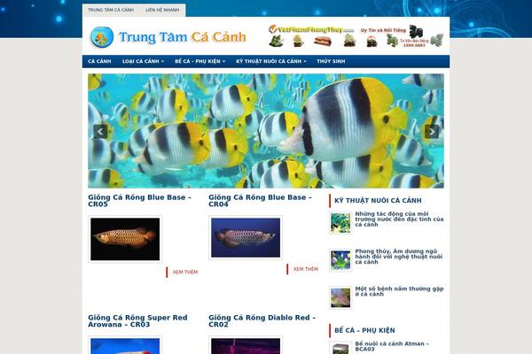 trungtamcacanh.com site used V-progresso