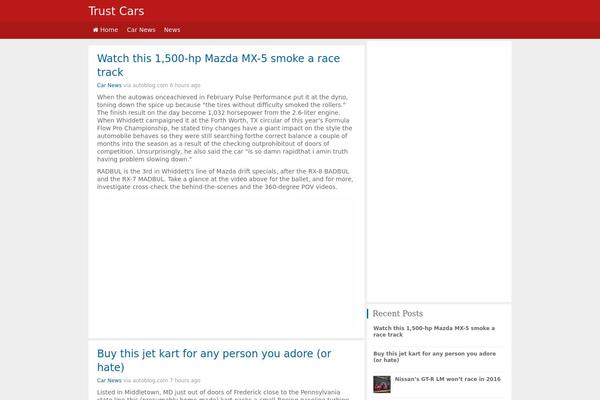 WordPress website example screenshot