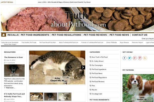 newsri WordPress theme, websites list used newsri theme newsri theme websites examples