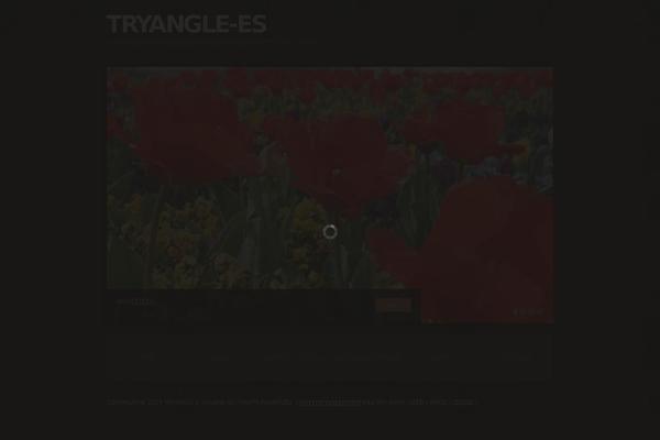 tryangle-es.com site used Theme5865