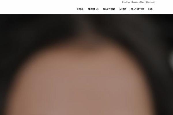 Bridge theme site design template sample