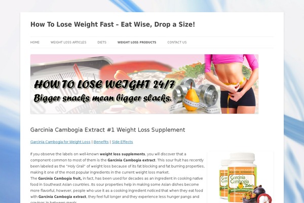 Twenty Twelve theme site design template sample