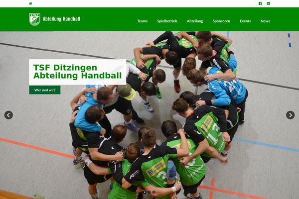 Sport theme site design template sample