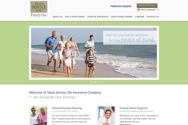 Care theme site design template sample