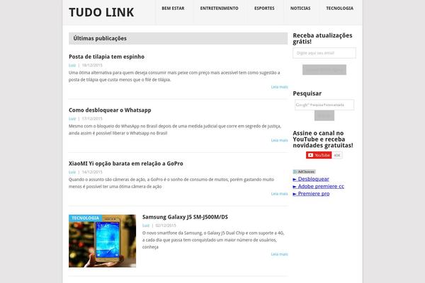 tudolink.com.br site used Point