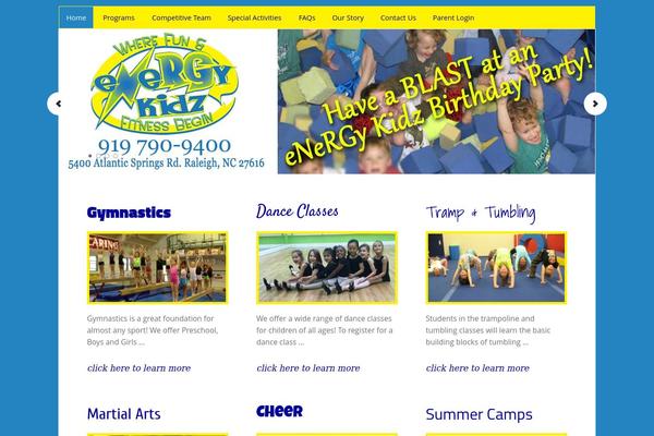 WordPress website example screenshot