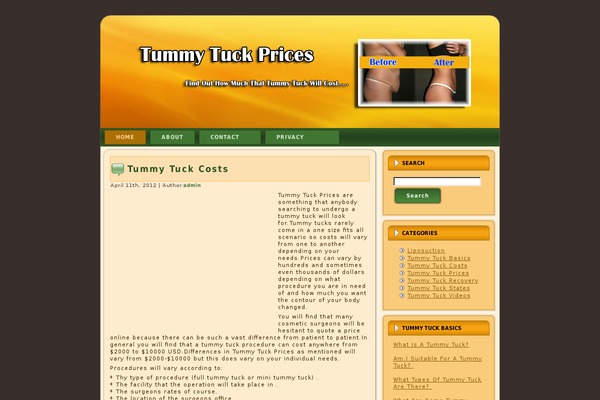 tummytuckpricesonline.com site used Tummy_tuck2