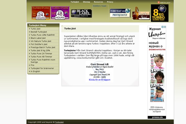 WordPress website example screenshot