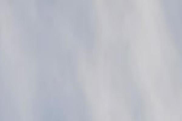 Point theme site design template sample