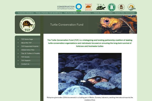 turtleconservationfund.org site used Tcf