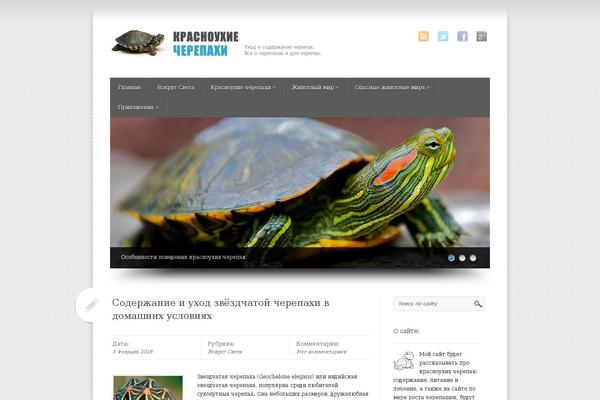 turtlemy.ru site used Seo-optimizeio