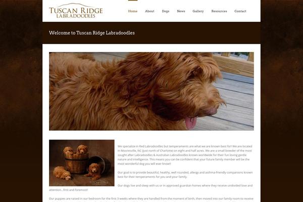 Avada theme site design template sample