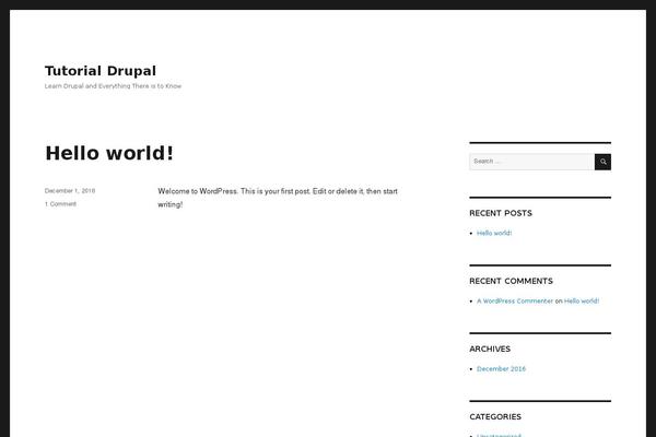 Magazine Pro theme site design template sample