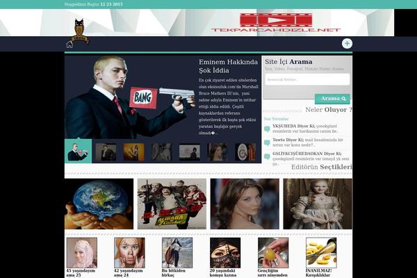 SeoTez theme websites examples