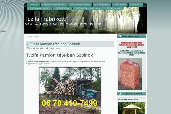 tuzifa1.com site used Misty_forest_sun_glow_lae084