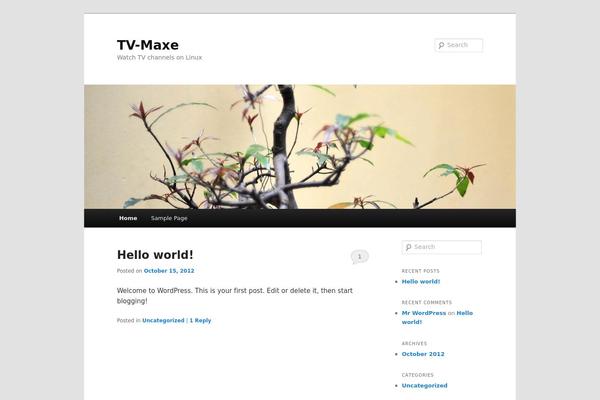 Twenty Eleven theme site design template sample