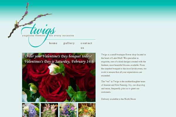 twigsflowershop.com site used Twigs