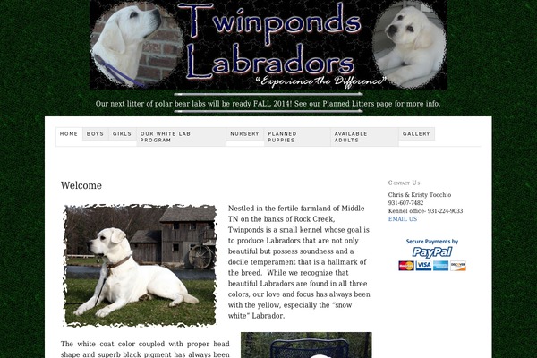 WordPress website example screenshot