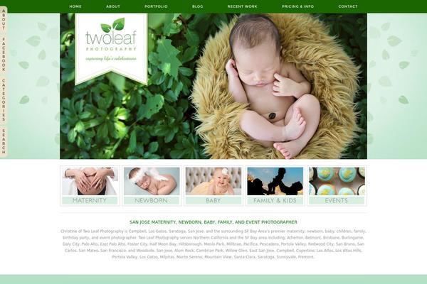 WordPress website example screenshot