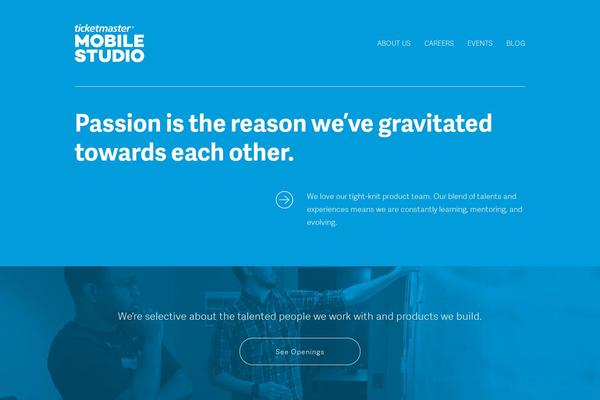 WordPress website example screenshot