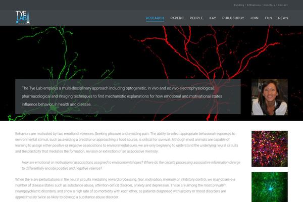 tyelab.org site used Tye