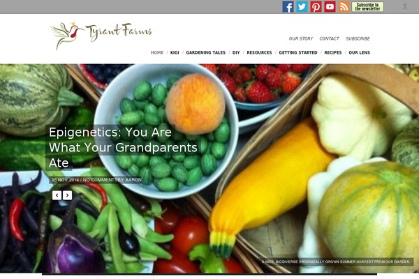 viewport-child WordPress theme, websites list used viewport-child theme viewport-child theme websites examples