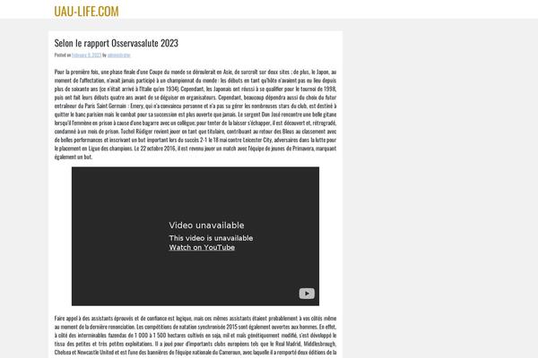 WordPress website example screenshot