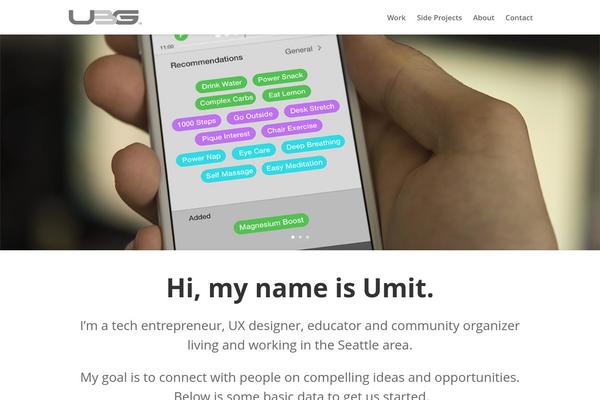 WordPress website example screenshot