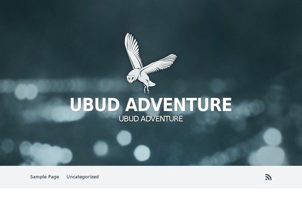 Divi theme site design template sample