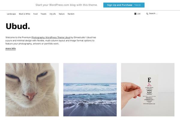 WordPress website example screenshot