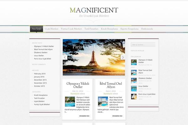 Magnificent theme site design template sample