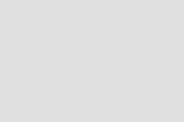 portola WordPress theme, websites list used portola theme portola theme websites examples