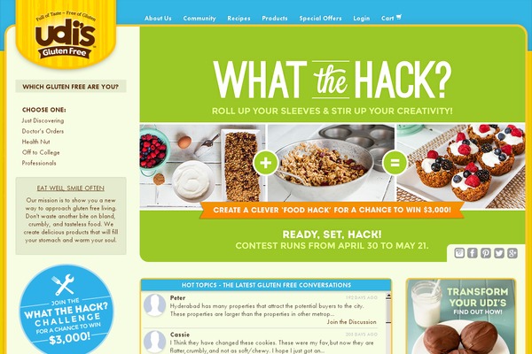 udis theme websites examples