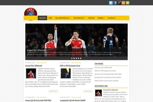 NewsDesk WordPress theme, websites list used NewsDesk theme NewsDesk theme websites examples