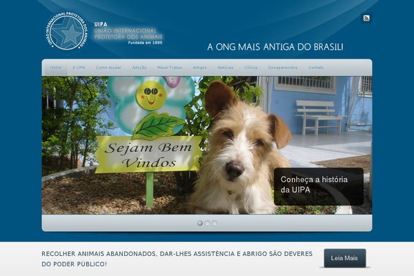uipa.org.br site used Dt-the7-2