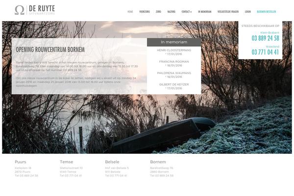 webit theme websites examples