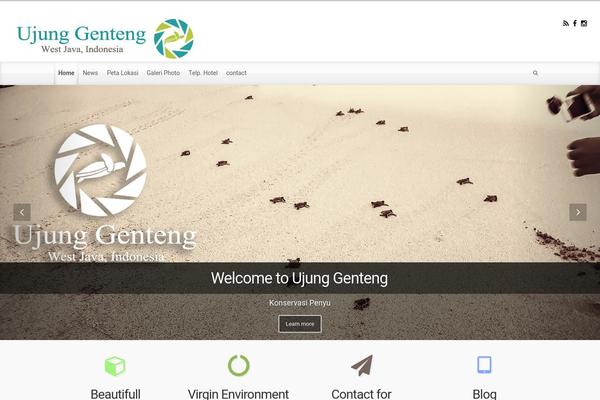 Site using Widget-options plugin