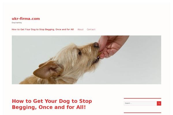 Twenty Sixteen theme site design template sample