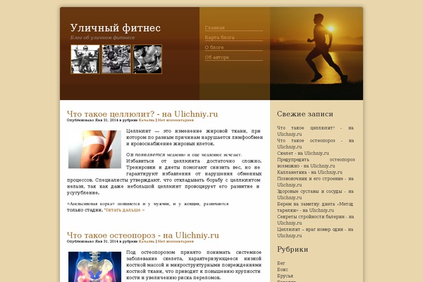 ulichniy.ru site used Running-blog