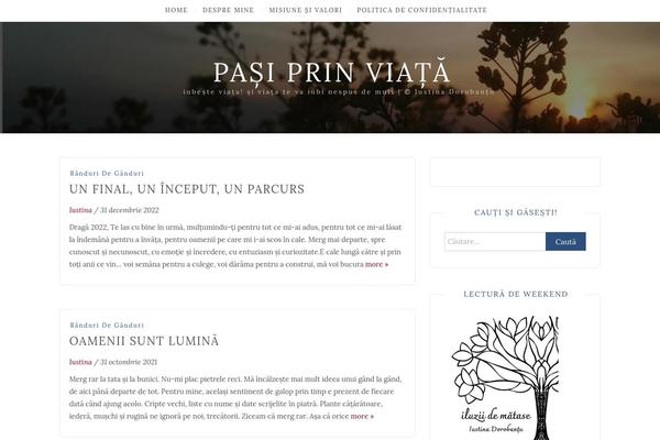 blog-inn theme websites examples