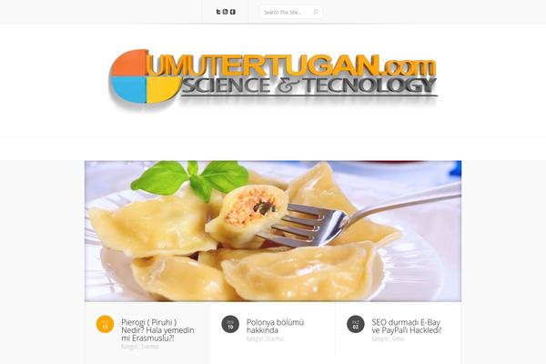 Site using WP Retina 2x plugin
