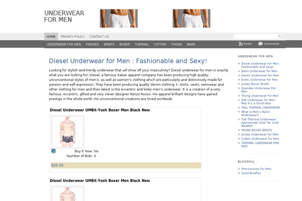 WordPress website example screenshot