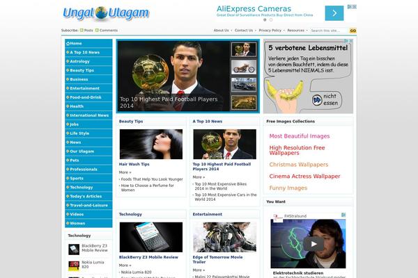 WordPress website example screenshot