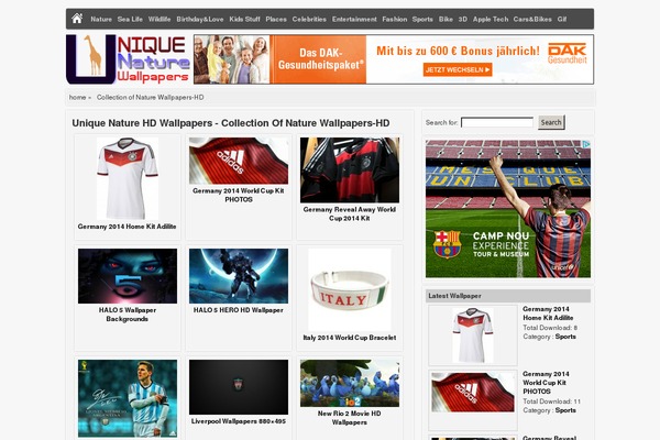 WordPress website example screenshot