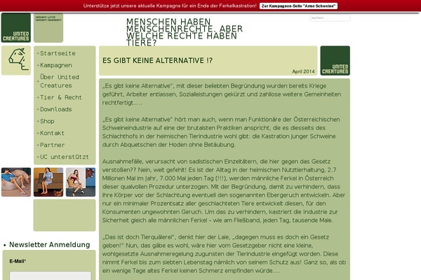 WordPress website example screenshot