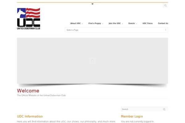 Tersus theme site design template sample