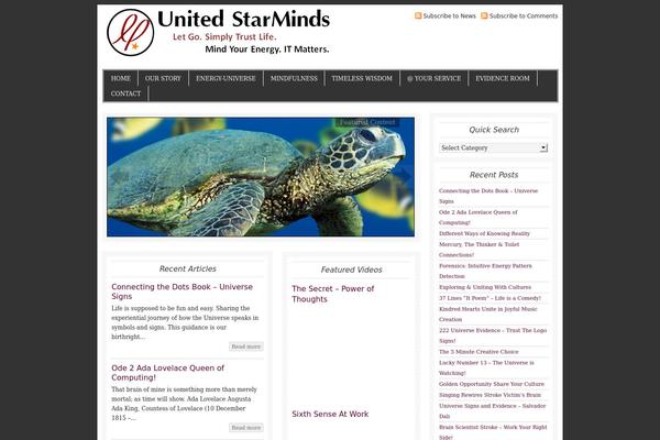 unitedstarminds.com site used Metro_10