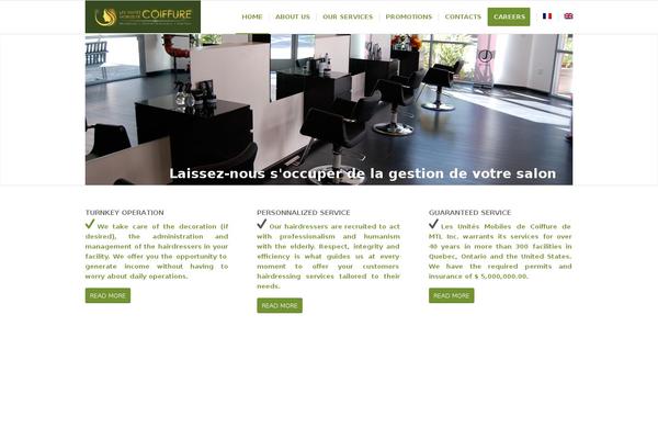 Enfold theme site design template sample