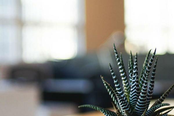 universalbroker.pl site used Twenty Seventeen